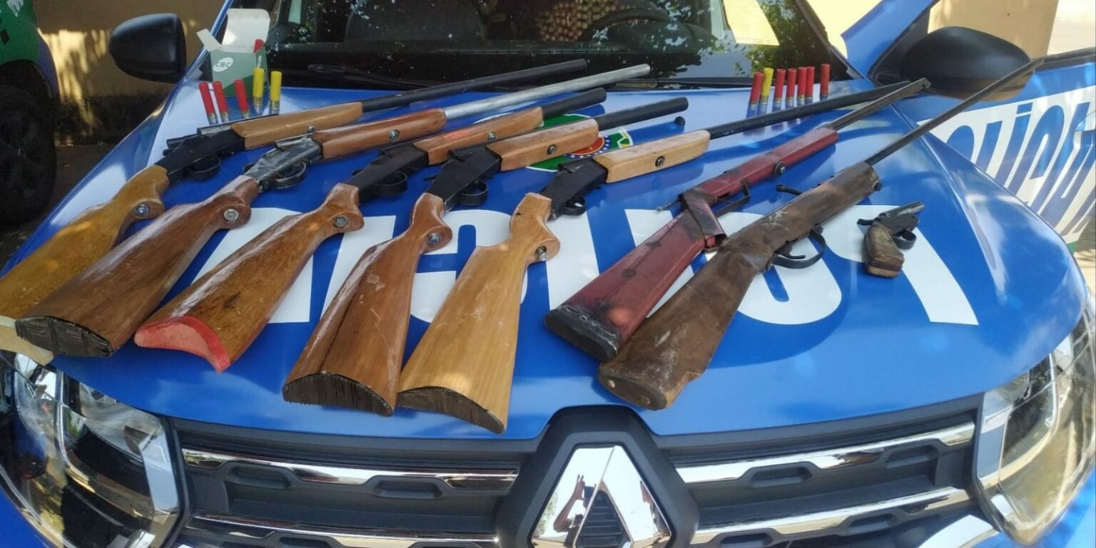 Um homem suspeito de ter uma fábrica de armas caseiras foi preso em Senador Canedo, na manhã deste domingo (19).