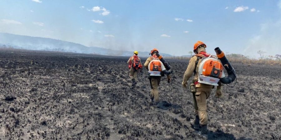 O Corpo de Bombeiros Militar do Estado de Goiás (CBMGO) entrou no sexto dia de combate ao incêndio na região da Chapada dos Veadeiros.