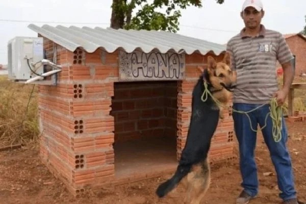 Um homem decidiu proporcionar mais conforto para a cachorra e instalou um aparelho de ar-condicionado na casinha.