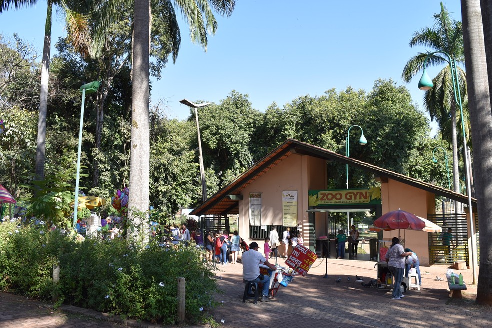 Zoológico de Goiânia reinaugura ilhas do lago dos macacos