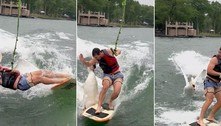 Cisne afrontoso ataca e derruba sem dó praticante de wakeboard