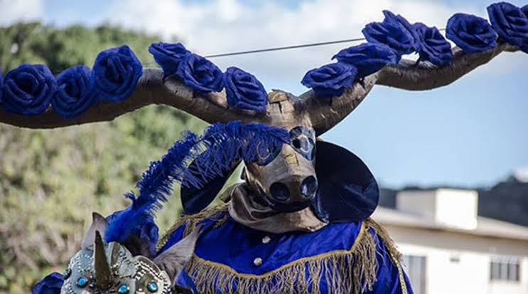 Exposição abre Circuito de Cavalhadas nesta quarta-feira (27) em Goiânia