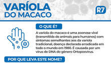 Passa de 300 o número de casos confirmados de varíola do macaco no mundo