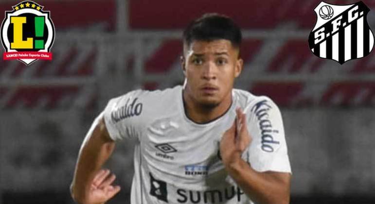 Marcos Leonardo - 6,5 - Foi caçado em campo no começo do jogo e deu a assistência para o segundo gol do Santos.