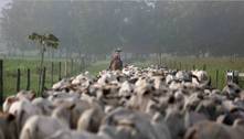 Exportação de carne bovina do Brasil avança 30% em abril 