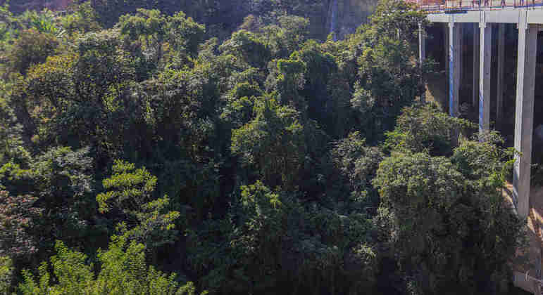 O Atlético-MG também é obrigado a preservar uma área ambiental próxima ao estádio de 26 mil m².