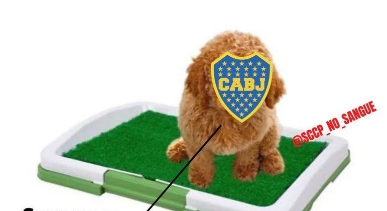 Os melhores memes da classificação do Corinthians para as quartas de final da Libertadores após vitória sobre o Boca Juniors nos pênaltis.