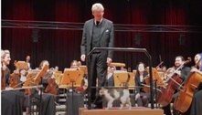 Gato invade apresentação de orquestra, 'ataca' de maestro e arranca risadas de todos 