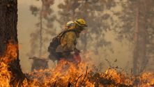 Fogo se espalha na Califórnia (EUA) e milhares de pessoas têm de deixar suas casas 