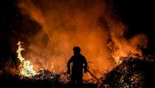 Europa Ocidental luta contra incêndios e se prepara para temperaturas recordes