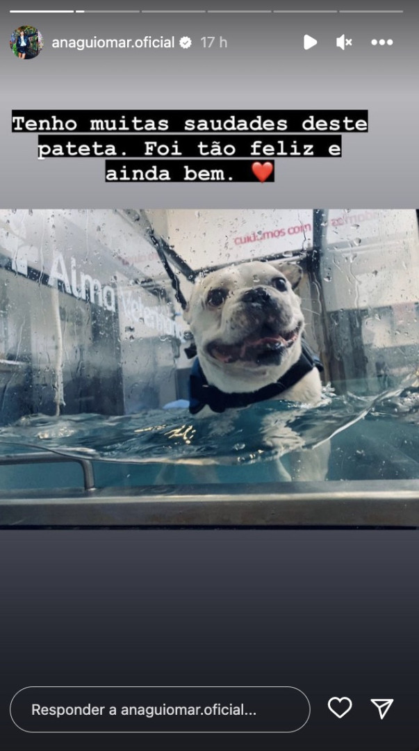 Ana Guiomar lembra Bart, o cão que morreu: "Foi tão feliz"