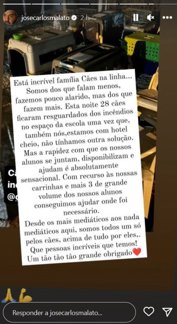 "Esta noite 28 cães ficaram resguardados dos incêndios"