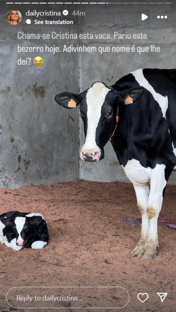 Cristina Ferreira batiza bezerro da "vaca Cristina": "Adivinham o nome?"